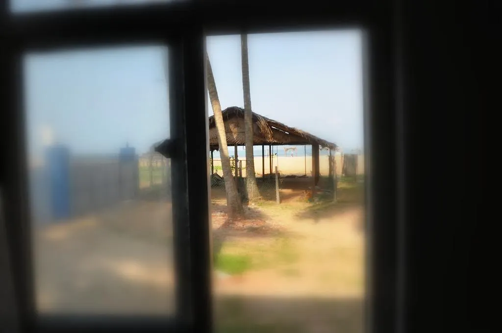 Tms Beach House Negombo Konukevi